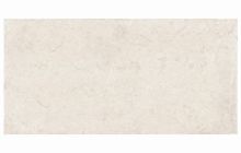 trevia-1.jpg
